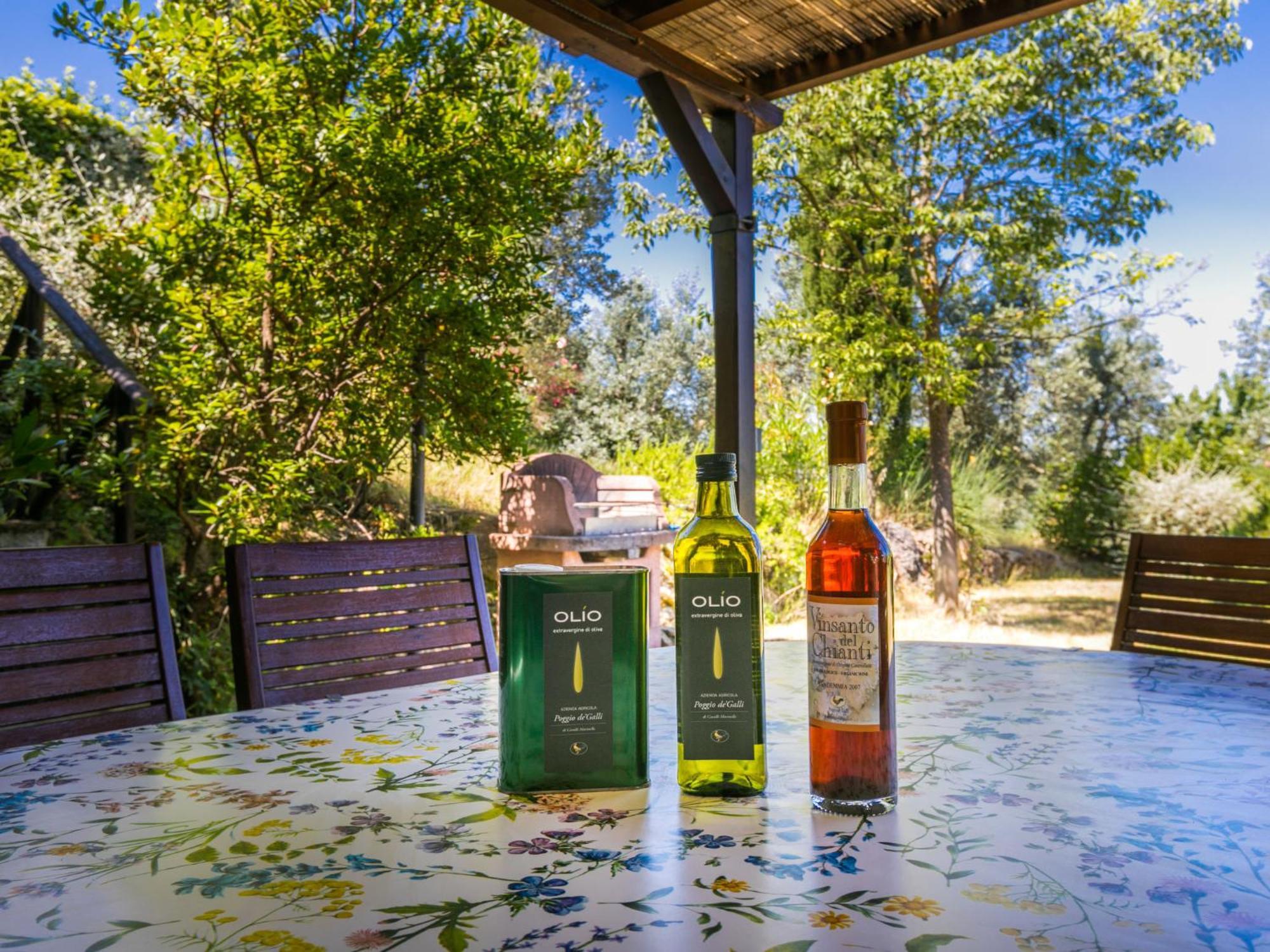 Holiday Home Poggio De'Galli By Interhome Pozzolatico Екстер'єр фото